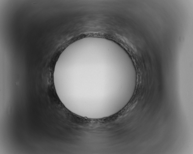 X0000100311350200806051320