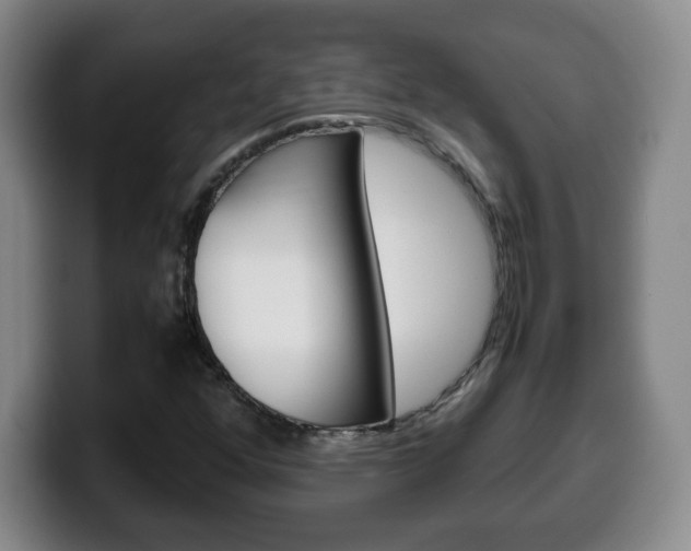 X0000100311352200806051320