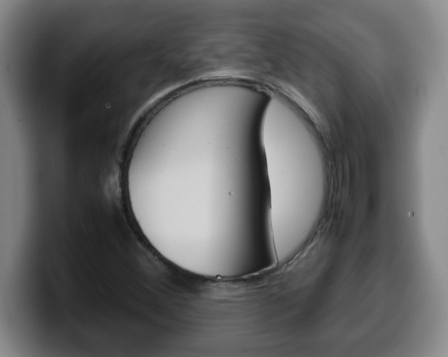 X0000100311356200806051319