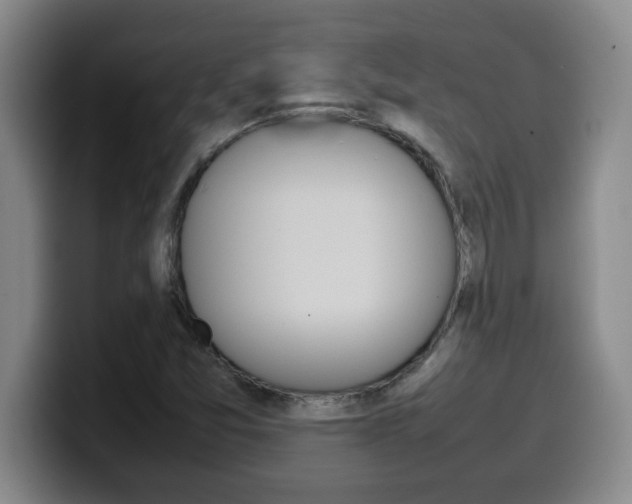 X0000100311357200806051319