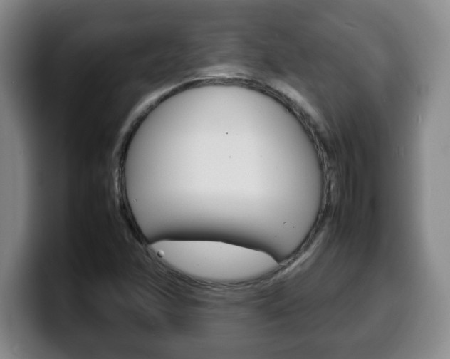 X0000100311358200806051319