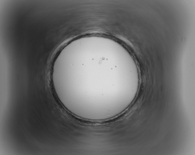 X0000100311359200806051319