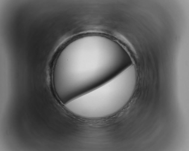 X0000100311360200806051319