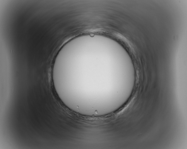 X0000100311361200806051319