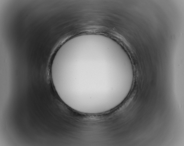 X0000100311362200806051319
