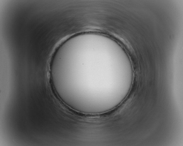 X0000100311363200806051319