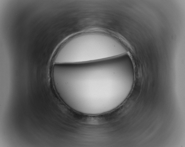 X0000100311364200806051319