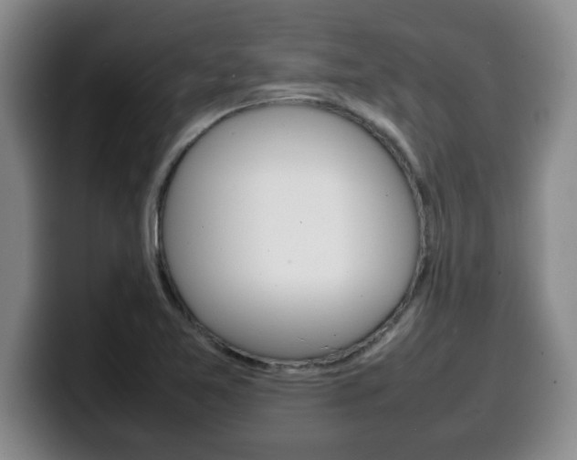 X0000100311365200806051319