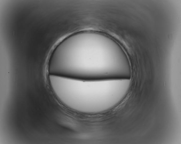 X0000100311367200806051319