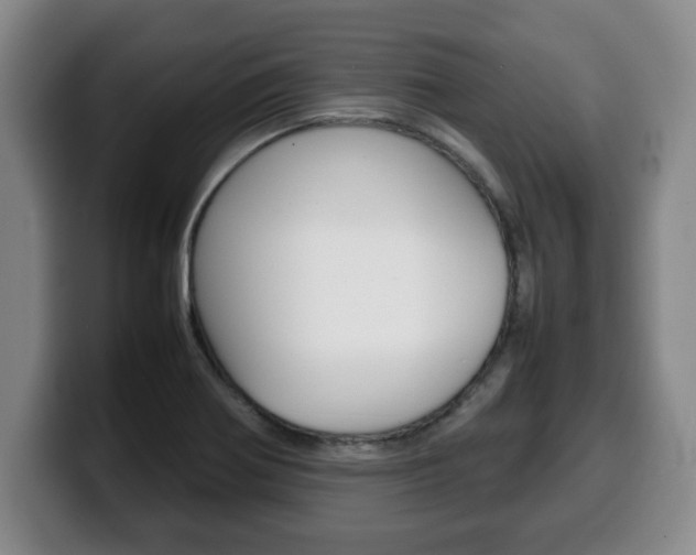 X0000100311370200806051319