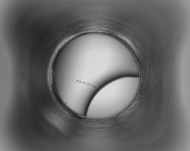 X0000100311371200806051319