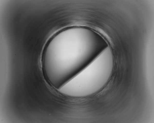 X0000100311372200806051319