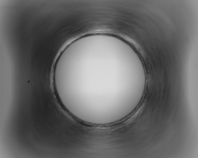 X0000100311374200806051319