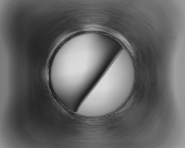 X0000100311376200806051319