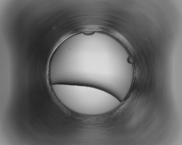 X0000100311378200806051319