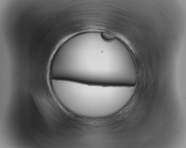 X0000100311379200806051319