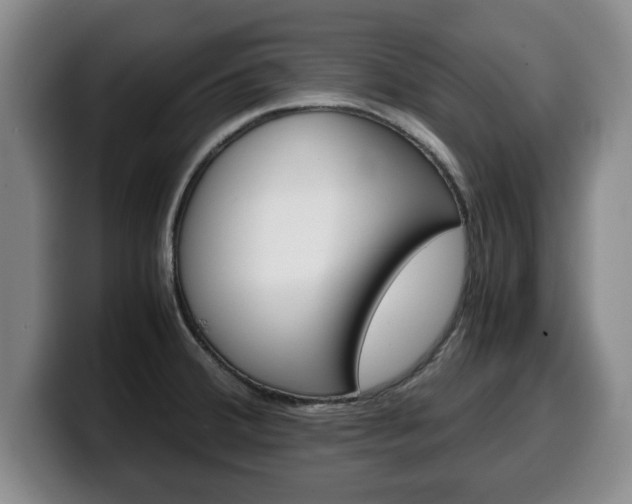 X0000100311380200806051319