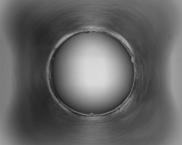 X0000100311381200806051319