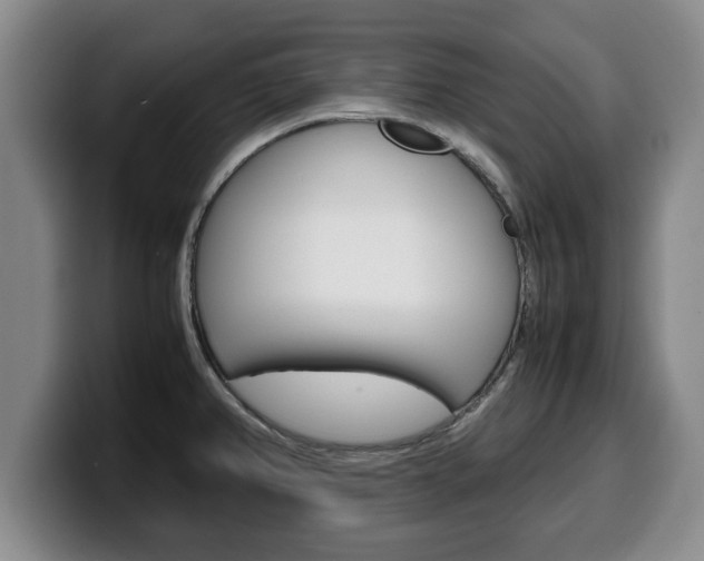 X0000100311382200806051319