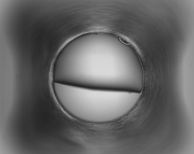 X0000100311383200806051319