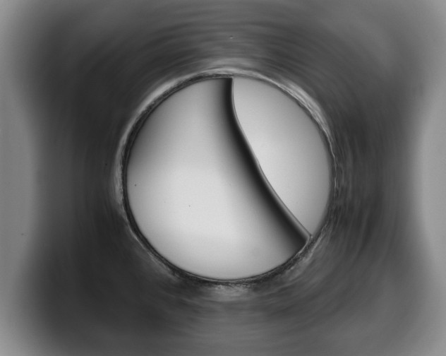 X0000100311384200806051319