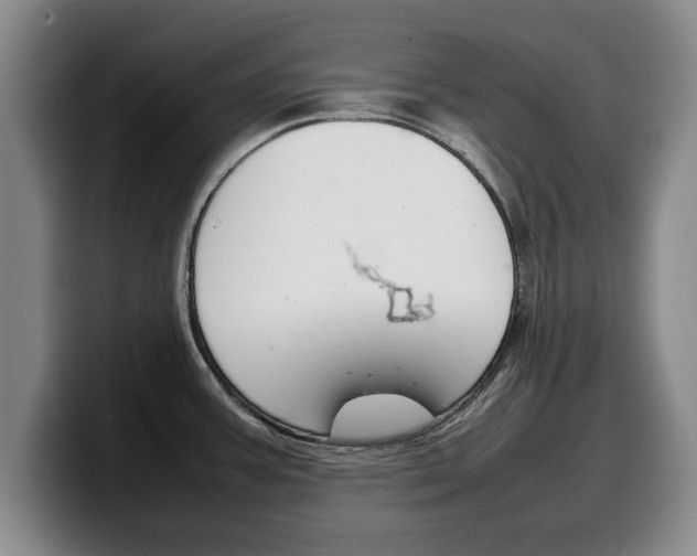 X0000100311387200806051319