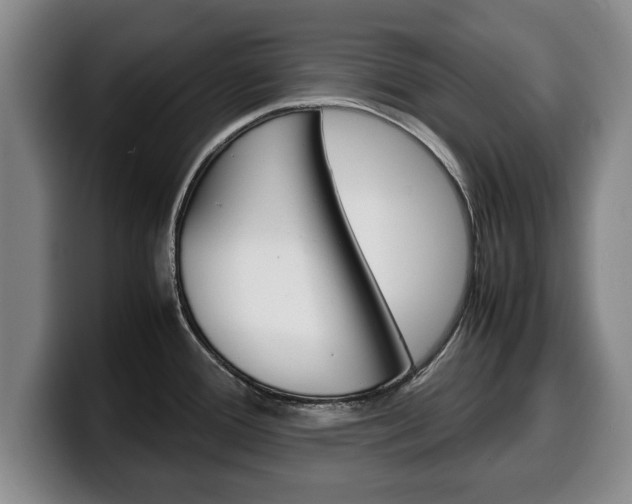 X0000100311388200806051319