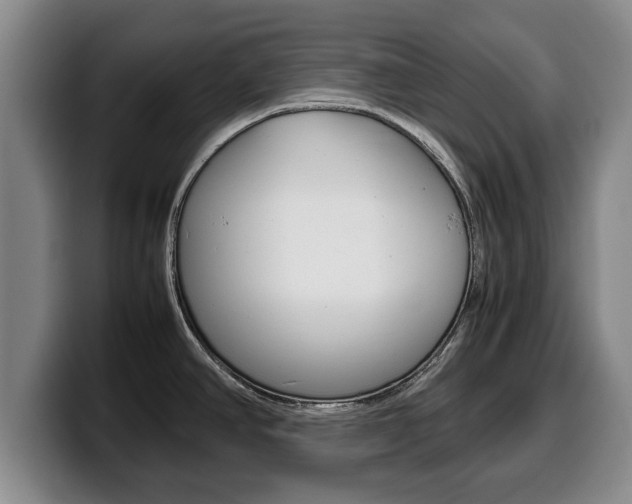 X0000100311390200806051319