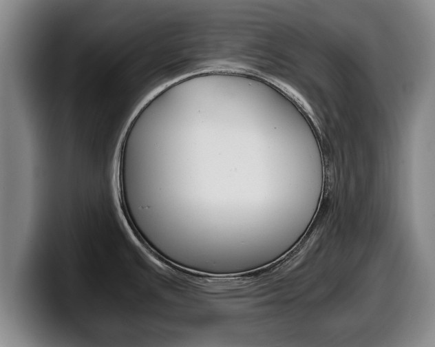 X0000100311391200806051319