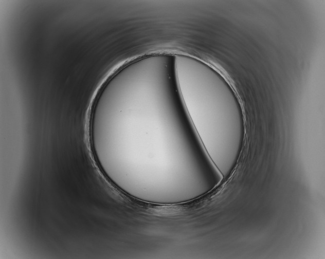 X0000100311392200806051319