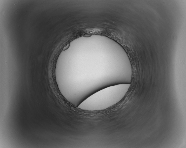 X0000100311393200806051318