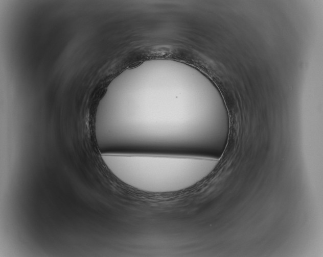 X0000100311394200806051318