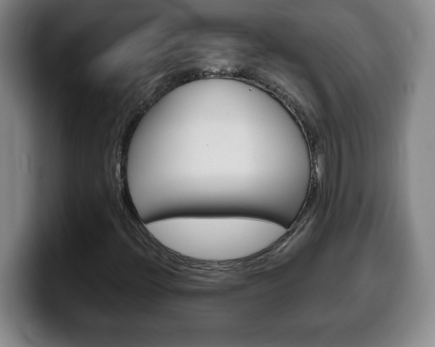 X0000100311396200806051318