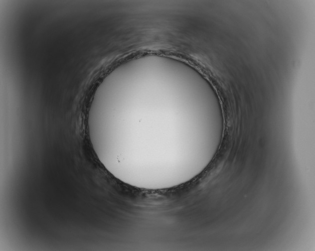 X0000100311398200806051318