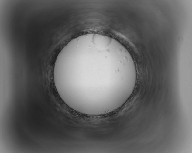 X0000100311399200806051318
