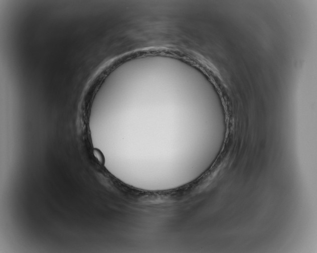 X0000100311400200806051318