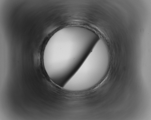 X0000100311402200806051318