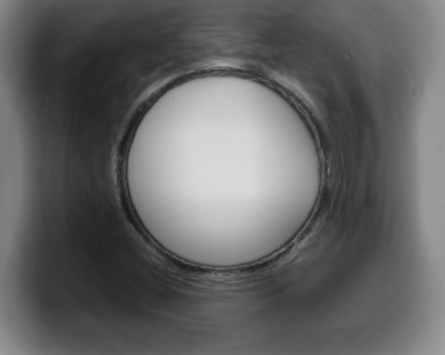 X0000100311404200806051318