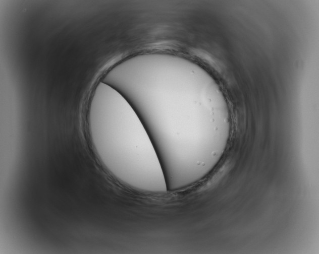 X0000100311405200806051319