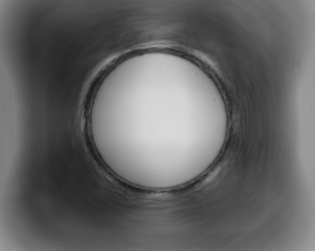X0000100311406200806051319