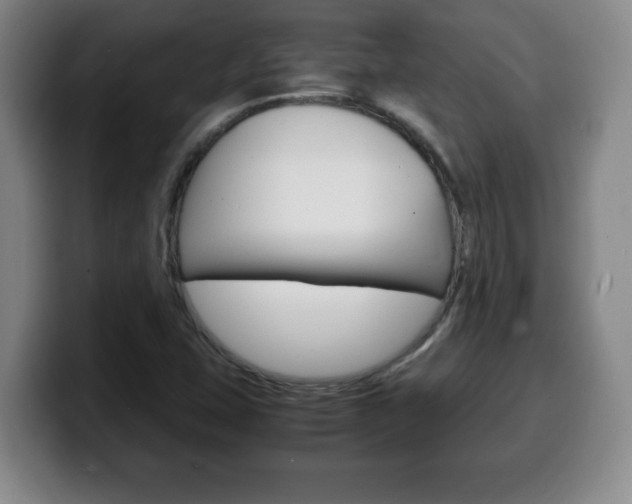 X0000100311407200806051319