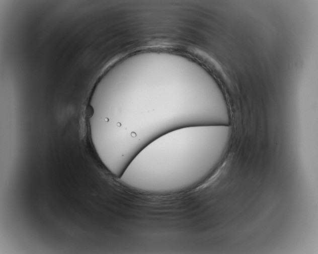 X0000100311409200806051319