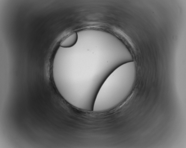 X0000100311411200806051319