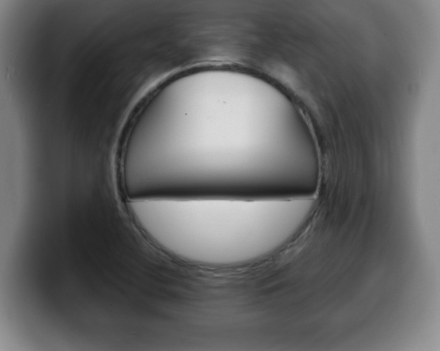 X0000100311412200806051319