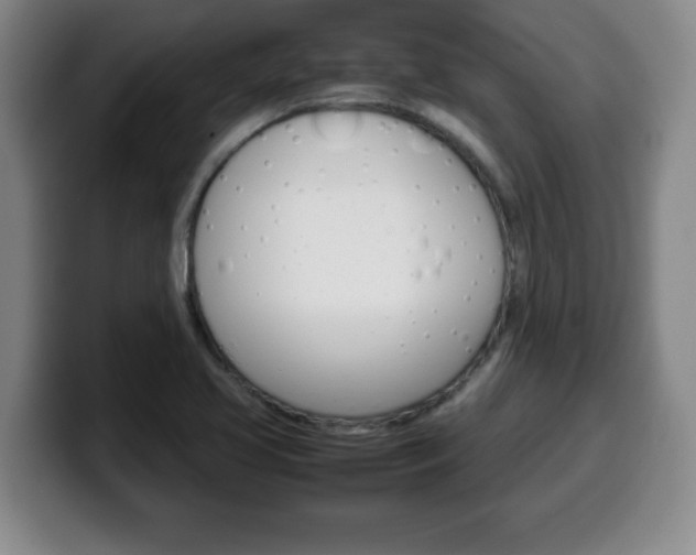 X0000100311413200806051319