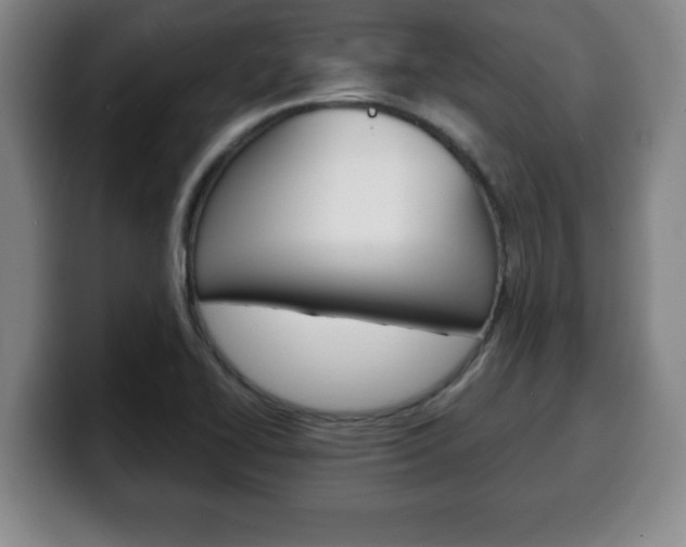 X0000100311414200806051319