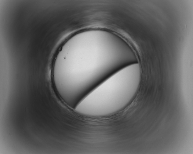 X0000100311416200806051319