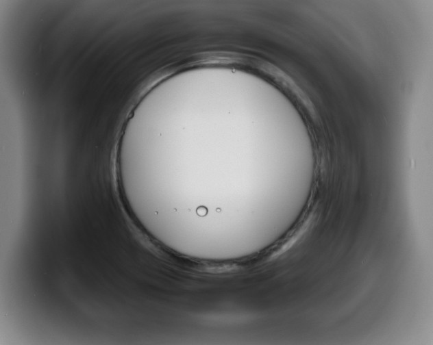 X0000100311417200806051319