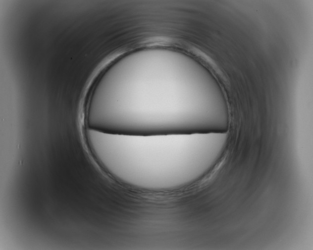 X0000100311418200806051319