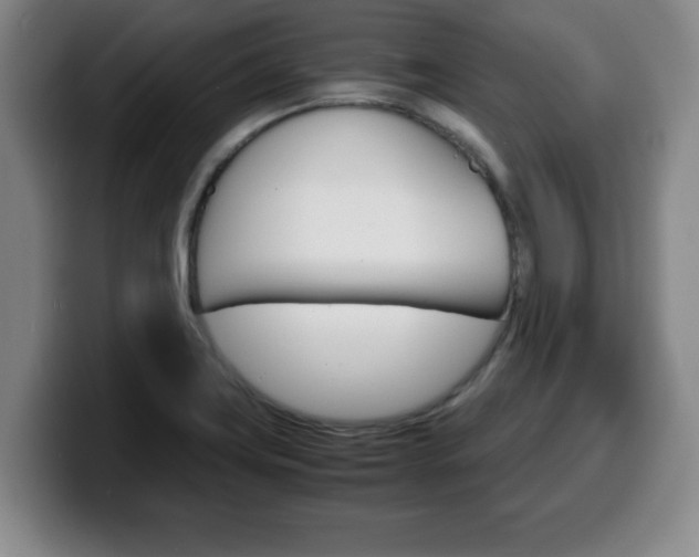 X0000100311419200806051319